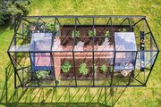 Halls Icon 8 8x14 Greenhouse 3mm Horticultural Glass in Black finish - Birdseye view