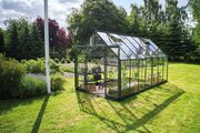Halls Icon 8 8x14 Greenhouse 3mm Horticultural Glass in Green finish - Full image