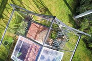Halls Icon 8 8x14 Greenhouse 3mm Toughened Glass in Mill finish - Birdseye view