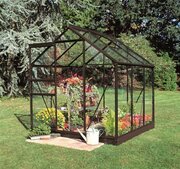 Halls Popular 66 Black Greenhouse 6 x 6 Horti Glass Short Panes F09938