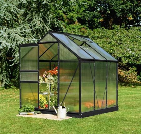 Halls Popular 66 Black Greenhouse 6 x 6 Polycarbonate F09939