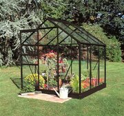 Halls Popular 66 Black Greenhouse 6 x 6 Tough Glass Long Panes F09940