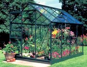 Halls Popular 68 Forest Green Greenhouse 6 x 8 Tough Glass Long Panes - FO9895