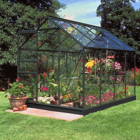 Halls Popular 6x8 greenhouse in forest green with short pane horticultural glass, positioned in a garden and filled with flowering plants and growing space.
