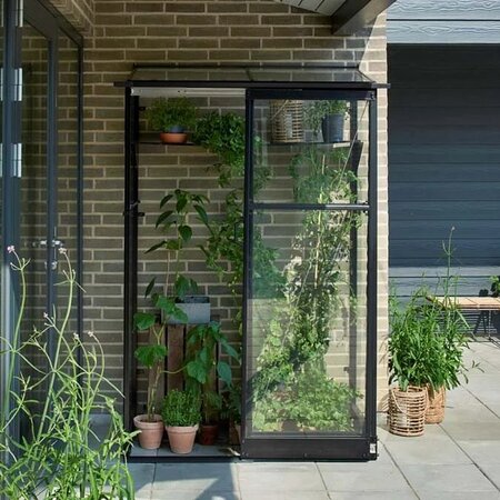 Halls QUBE 42 4x2 lean-to greenhouse in black with toughened glass, shown fully assembled against a brick wall with climbing plants and potted herbs on a patio.