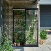 Halls QUBE 42 4x2 lean-to greenhouse in black with toughened glass, shown fully assembled against a brick wall with climbing plants and potted herbs on a patio.