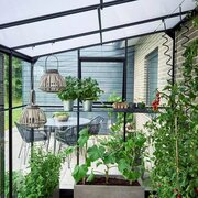 Interior view of the Halls QUBE 612 6x12 lean-to greenhouse showing black frame, toughened glass roof, optional shelving with potted herbs and tomato plants growing inside.