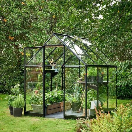 Three-quarter exterior view of the Halls QUBE 68 6x8 greenhouse with black aluminium frame and toughened glass, fully stocked with plants and positioned on a lawn surrounded by mature trees.
