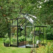 Three-quarter exterior view of the Halls QUBE 68 6x8 greenhouse with black aluminium frame and toughened glass, fully stocked with plants and positioned on a lawn surrounded by mature trees.