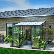Angled view of the Halls QUBE 68 6x8 black toughened glass lean-to greenhouse showing sliding door access, internal shelving with plants, and placement against an exterior wall on a paved patio.
