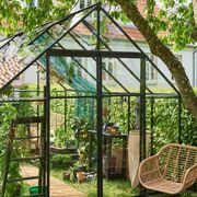 Side view of the Halls Qube+ 812 black toughened glass greenhouse showing double sliding doors, internal shelving, raised timber planting beds, and vegetable plants growing inside a neatly landscaped lawn garden.