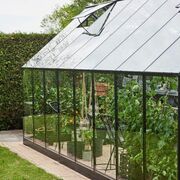 Side view of the Halls Qube+ 816 8x16 black aluminium greenhouse with toughened glass panels, showing full-length growing space, internal tomato plants, hanging baskets, and roof vent open for ventilation.