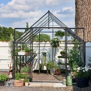 Front view of the Halls Qube+ 8x8 black toughened glass greenhouse showing low-threshold double doors, internal metal staging, potted plants, hanging baskets, and compact working space within a walled garden.