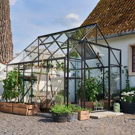 Side view of the Halls Qube+ 8x8 black aluminium greenhouse with toughened glass panels, showing double sliding doors, internal staging with tomato plants, and raised timber beds on a cobbled garden base.