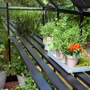 Halls Qube Square Black Integral Staging fixed inside a greenhouse with potted plants and trays, showing slatted aluminium shelves and open floor space.