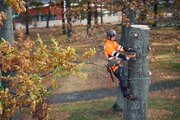 Husqvarna 550i XP Battery Chainsaw 15" 970745815 - image 2
