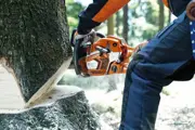 Husqvarna 562xp Chainsaw with 18" Bar - image 3