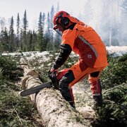Close-up of Husqvarna 565 70.6cc petrol chainsaw cutting timber, professional operator in protective clothing processing a large log