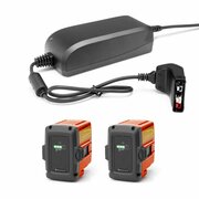 QC80 Charger and Two BLi20 Batteries