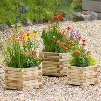 Raised Beds & Planters