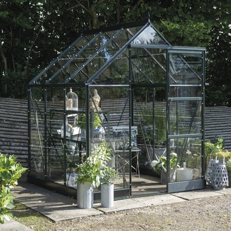 Halls Icon 6 6x6 greenhouse with a powder-coated green frame, shown fully assembled.