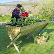 father and son wokring on their vegetables in the 2m Wooden Garden Veg Bed