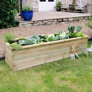 Sleeper Raised Veg Bed, Narrow Raised Bed full image with vegetables inside of it