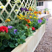 York Planter close up of the flowers inside it